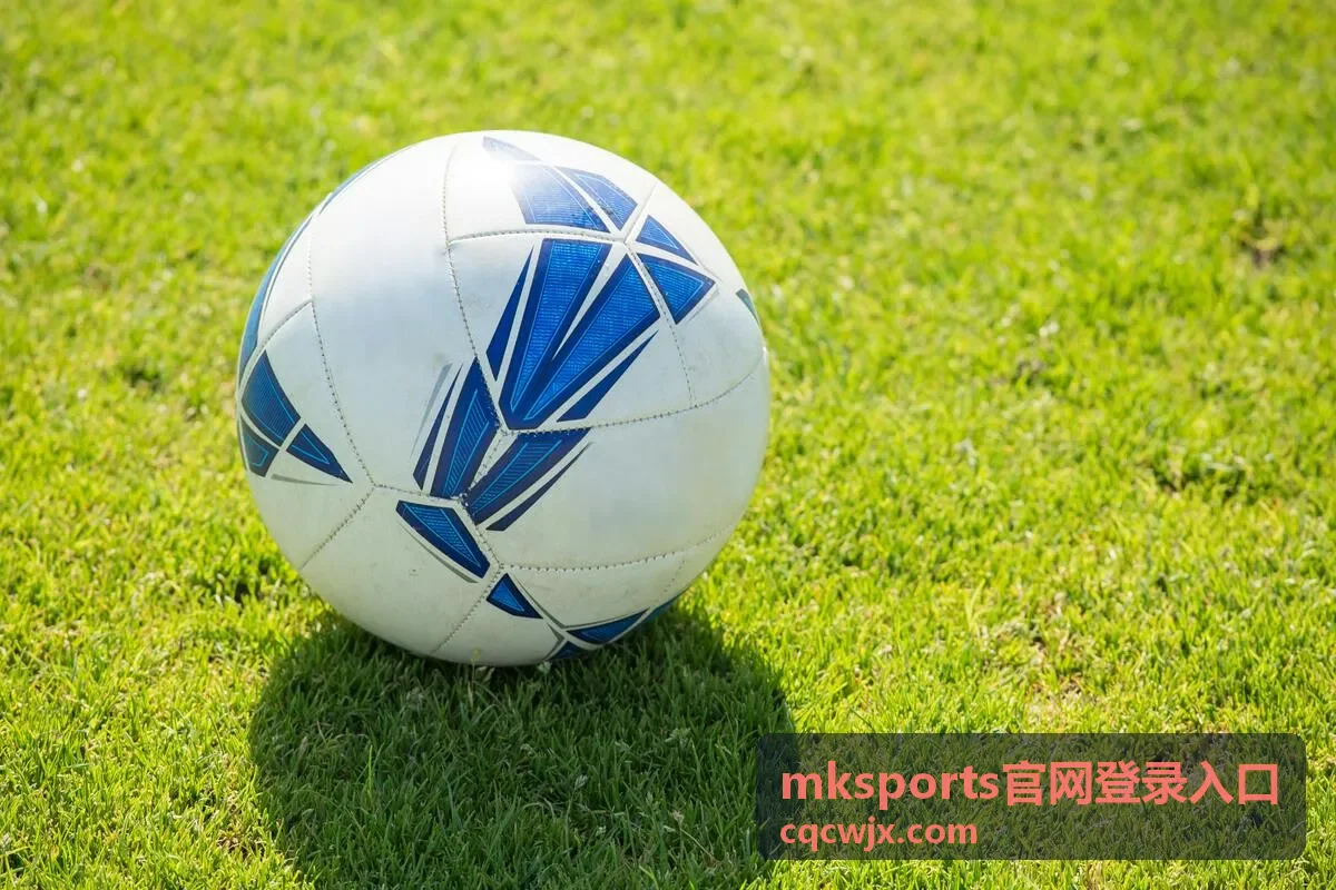 mksports官网登录入口 邮箱二次验证设置片段