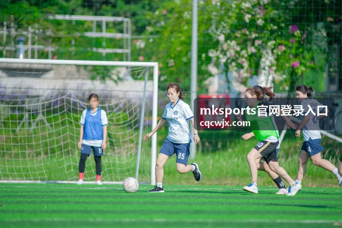 mksports官网登录入口 图形验证码重试方法片段