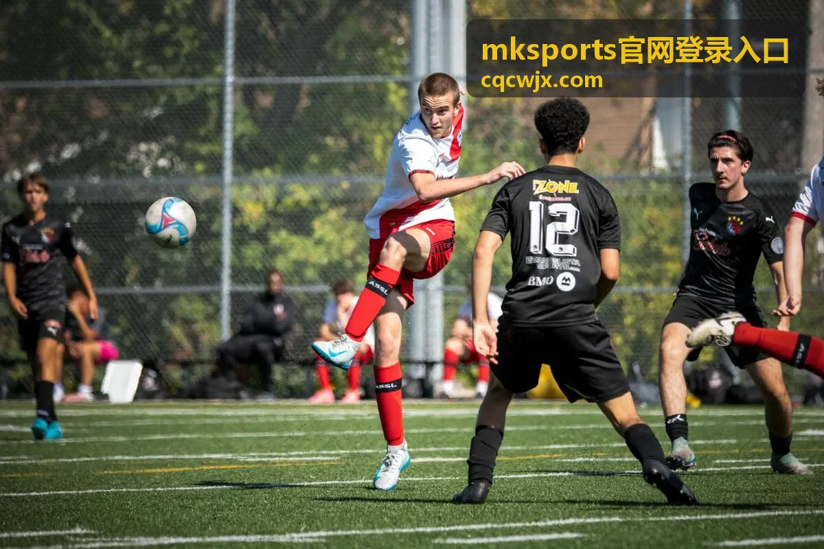 mksports官网登录入口 多标签同时打开的影响片段