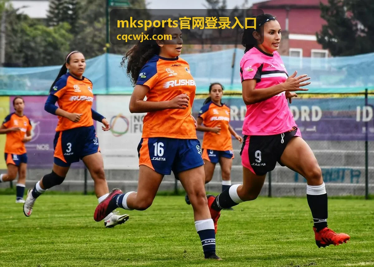 mksports官网登录入口 连续输错后的等待与找回片段