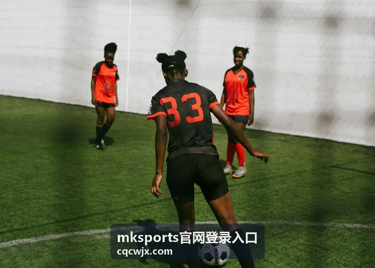 mksports官网登录入口 页面提示网络异常的排查片段