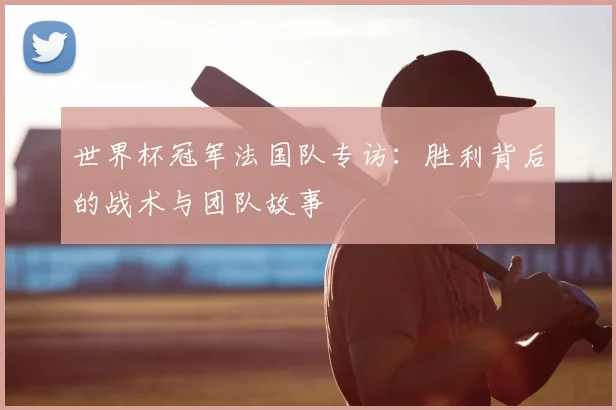 世界杯冠军法国队专访:胜利背后的战术与团队故事