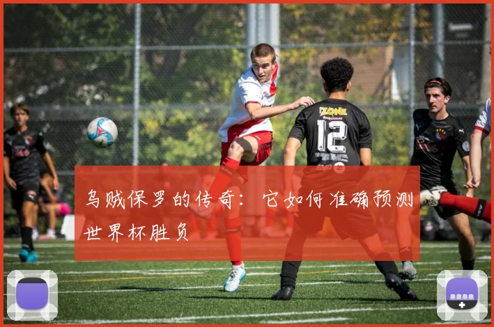 乌贼保罗的传奇：它如何准确预测世界杯胜负