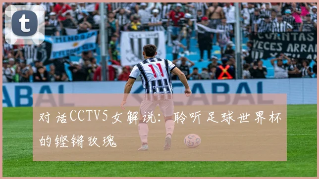 对话CCTV5女解说:聆听足球世界杯的铿锵玫瑰