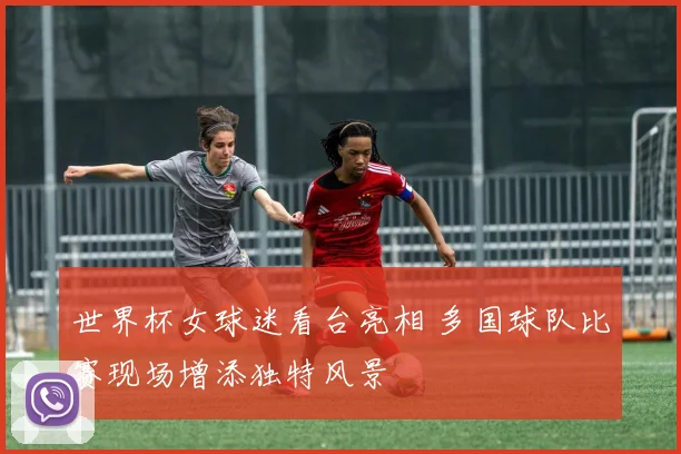 世界杯女球迷看台亮相 多国球队比赛现场增添独特风景