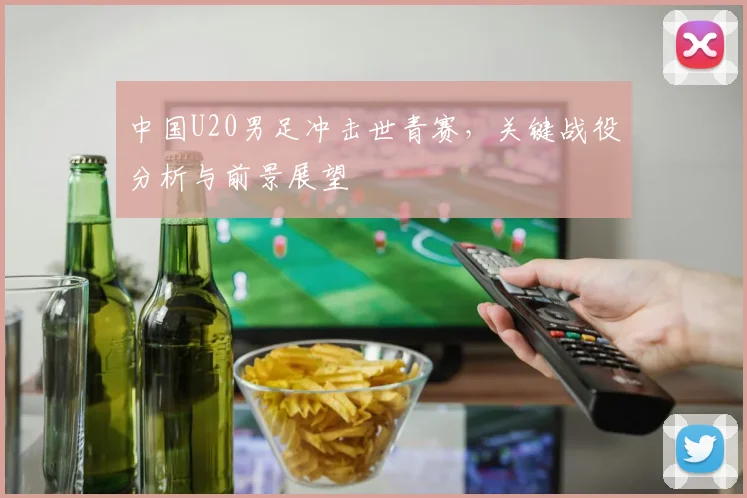 中国U20男足冲击世青赛,关键战役分析与前景展望