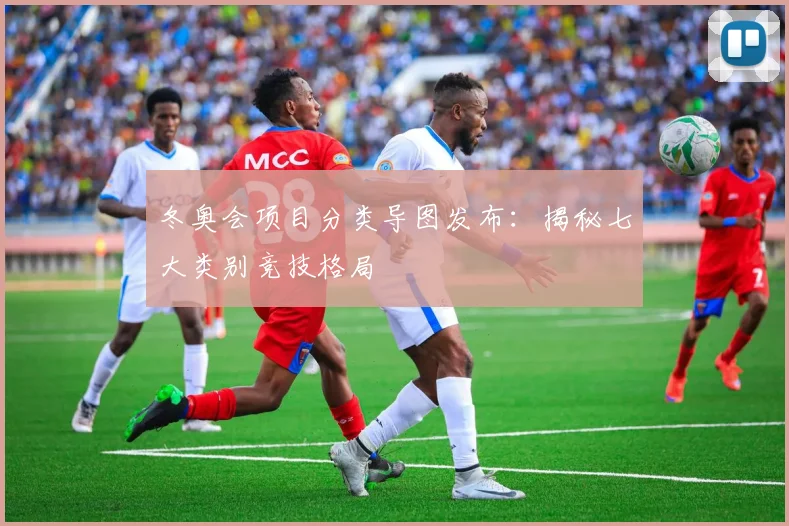 冬奥会项目分类导图发布：揭秘七大类别竞技格局