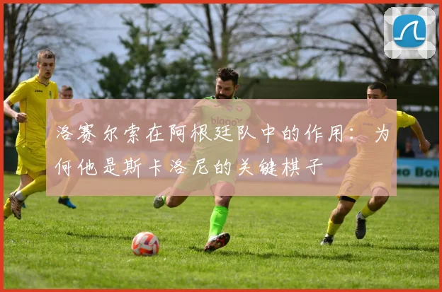 洛赛尔索在阿根廷队中的作用：为何他是斯卡洛尼的关键棋子